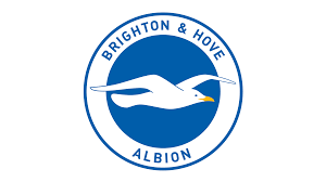 Brighton & Hove Albion Brighton & Hove Albion