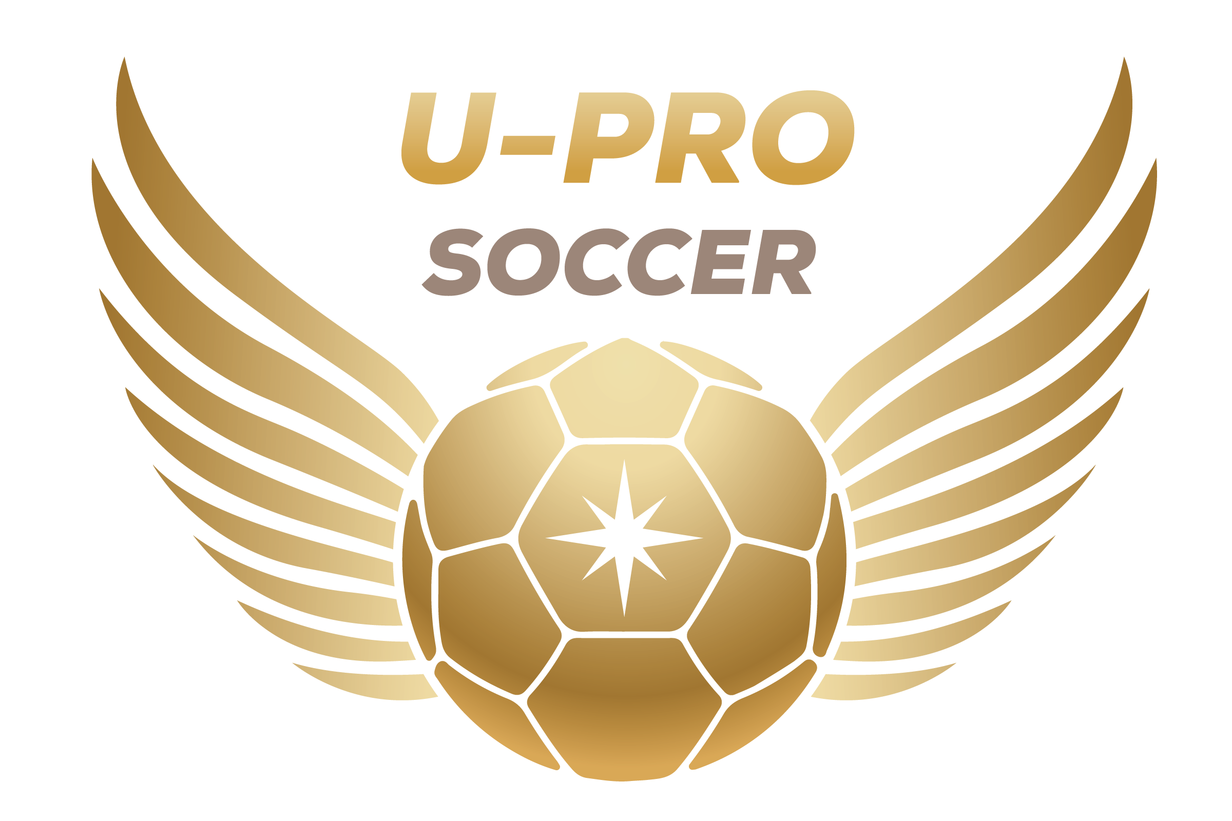 Logo-no-slogan Logo-no-slogan