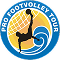 Pro Footvolley Youth Logo 1
